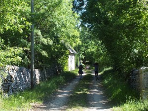 Sentier vers le dolmen du Cloup des Périès à Grèzes dans le Lot