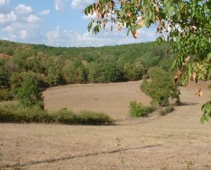 Campagnes - Berganty - Les campagnes (bourg) -