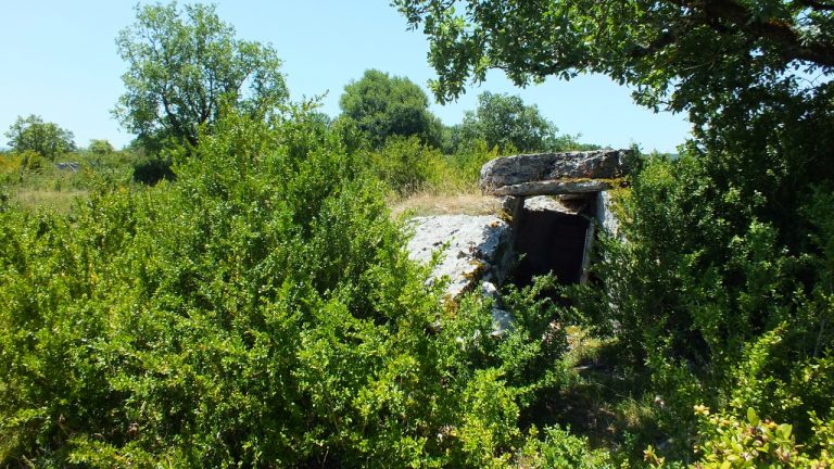 Dolmens & menhirs - Saint-Chels - Dolmen du Mas des Pezet -