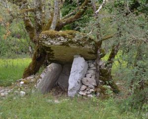 Dolmens & menhirs - Saint-Chels - Dolmen des Agars -