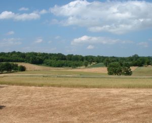 Campagnes - Baladou - Campagnes (Champ Darnal) -