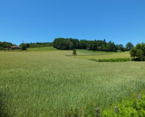 Campagnes - Bessonies - Campagnes (Lalaudie) -