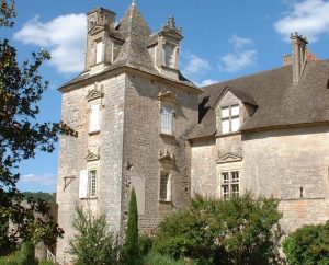 Châteaux & Fortifications - Cénevières - Château de Cénevières -