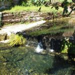 Rivières & Ruisseaux - Corn - La résurgence de la perte de Mansonnet -