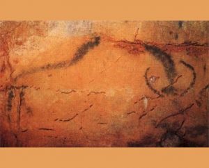 Grottes & Gouffres - Cabrerets - Grottes de Marcenac -