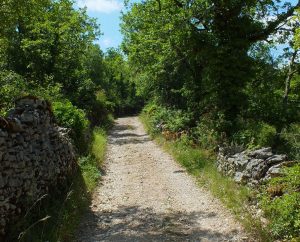 Circuits randonnée pédestre - Limogne-en-Quercy - Les Dolmens de Limogne - 9km