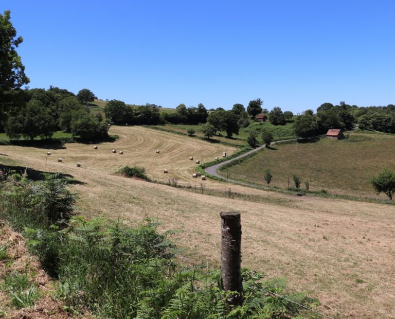 Campagnes SaintBressou Campagnes (Pic de SaintBressou)