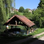 Lavoirs - Montfaucon - Le lavoir du plan d'eau -