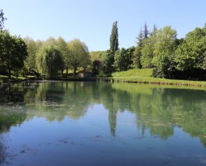Lacs & Plans d'eau - Montfaucon - Le plan d'eau (bourg) -