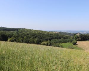 Campagnes - Bannes - Campagnes (Pech de la Garenne) -