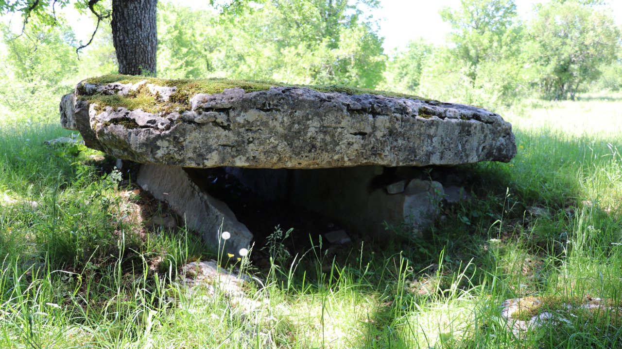 Assier. Le dolmen du Bois des boeufs